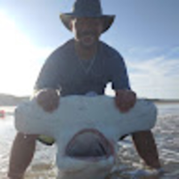 Meet your Posher, Stony - Picture 1 of 1